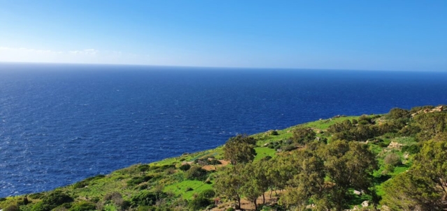 Wandern Sie entlang den Küsten Maltas und geniessen die frische Meeresluft sowie die herrliche Aussicht aufs Meer.