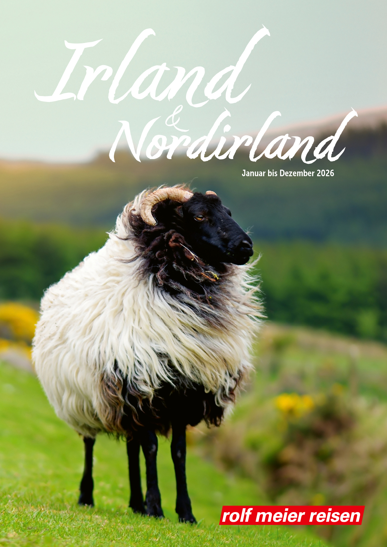 Irland Katalog 2026 Rolf Meier Reisen