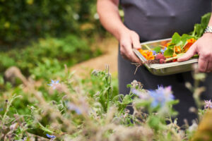 Englands schönste Gärten