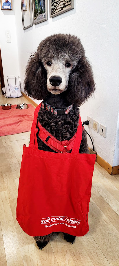 Siebenschläfer von Rolf Meier Reisen. Bevorzugtes Reiseland: Neuhausen am Rheinfall, Neftenbach, Schmerikon.