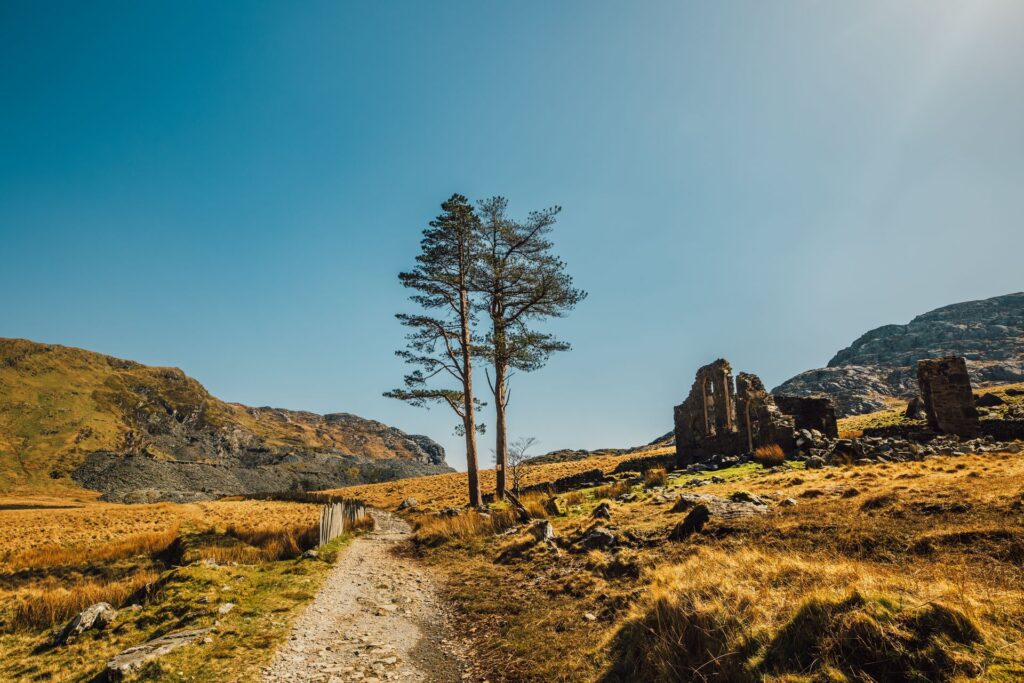 Wanderferien in Wales mit Rolf Meier Reisen